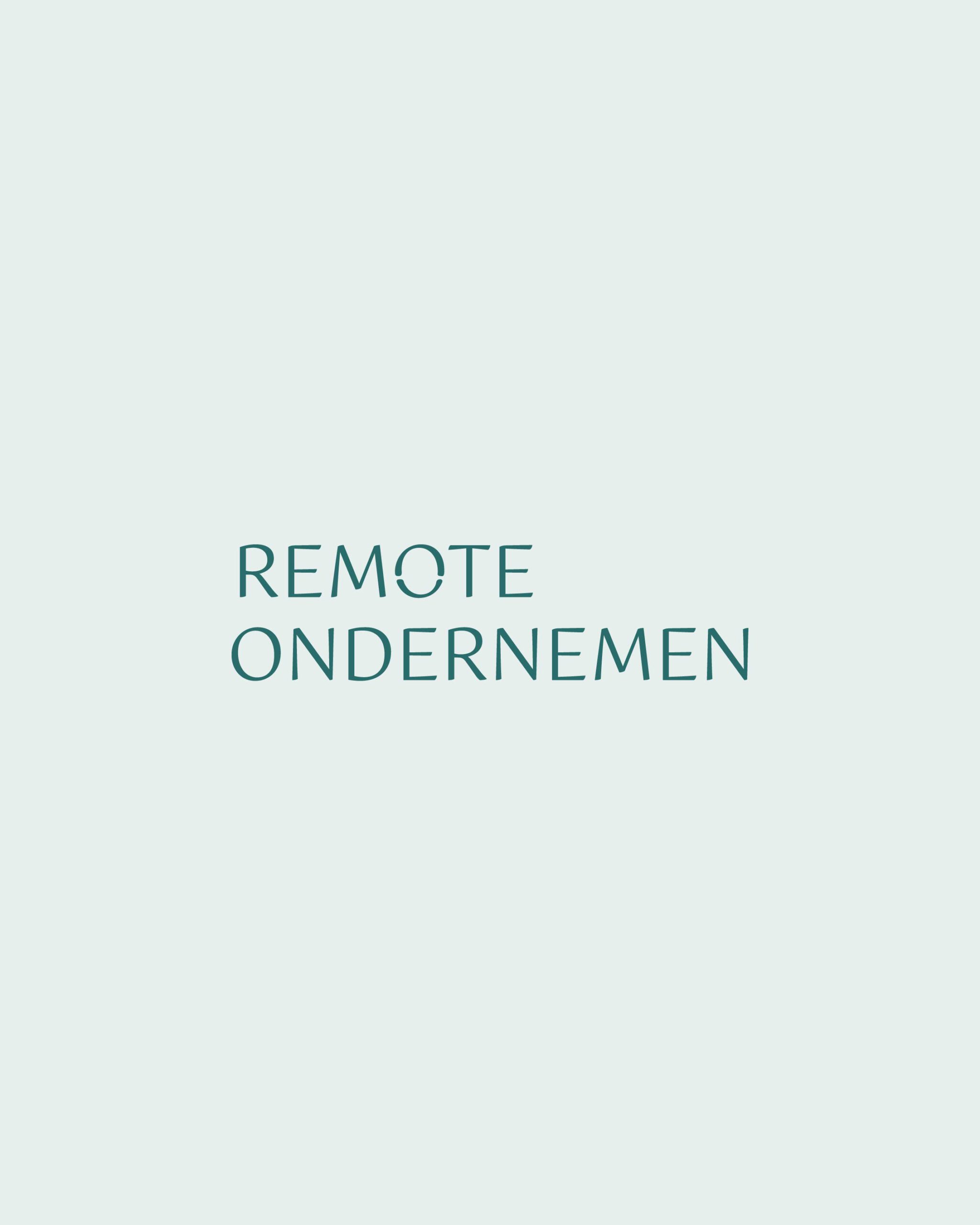 Cover Remote ondernemen